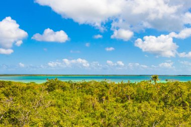 Sian Ka 'an Ulusal Parkı Muyil Chunyaxche Quintana Roo Mexico' nun palmiye ağaçları ile tropikal orman doğa ormanındaki ahşap gözetleme kulesinden Muyil Lagoon 'a manzara.