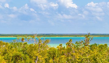 Sian Ka 'an Ulusal Parkı Muyil Chunyaxche Quintana Roo Mexico' nun palmiye ağaçları ile tropikal orman doğa ormanındaki ahşap gözetleme kulesinden Muyil Lagoon 'a manzara.