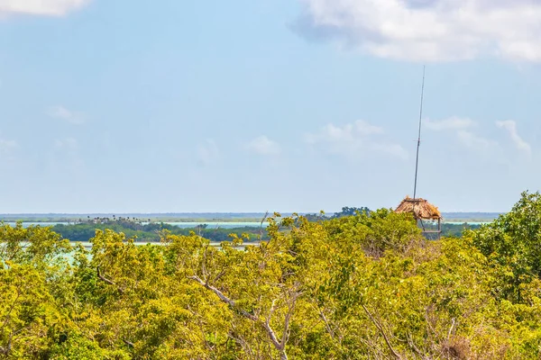 Panorama Pohled Muylskou Lagunu Dřevěné Rozhledny Tropickém Pralese Palmami Sian — Stock fotografie