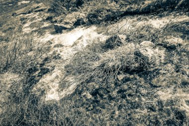 Hemsedal Norveç dağlarındaki Vavatn manzara manzarasında küçük bir nehir buharının eski siyah beyaz resmi.