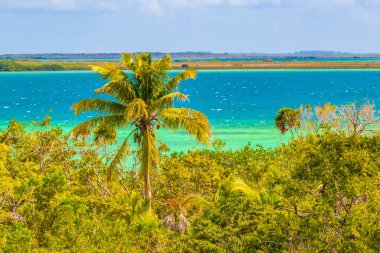 Sian Ka 'an Ulusal Parkı Muyil Chunyaxche Quintana Roo Mexico' nun palmiye ağaçları ile tropikal orman doğa ormanındaki ahşap gözetleme kulesinden Muyil Lagoon 'a manzara.