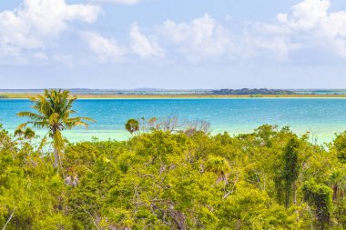 Sian Ka 'an Ulusal Parkı Muyil Chunyaxche Quintana Roo Mexico' nun palmiye ağaçları ile tropikal orman doğa ormanındaki ahşap gözetleme kulesinden Muyil Lagoon 'a manzara.