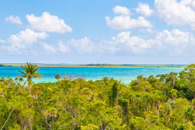 Sian Ka 'an Ulusal Parkı Muyil Chunyaxche Quintana Roo Mexico' nun palmiye ağaçları ile tropikal orman doğa ormanındaki ahşap gözetleme kulesinden Muyil Lagoon 'a manzara.