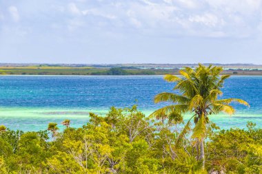 Sian Ka 'an Ulusal Parkı Muyil Chunyaxche Quintana Roo Mexico' nun palmiye ağaçları ile tropikal orman doğa ormanındaki ahşap gözetleme kulesinden Muyil Lagoon 'a manzara.