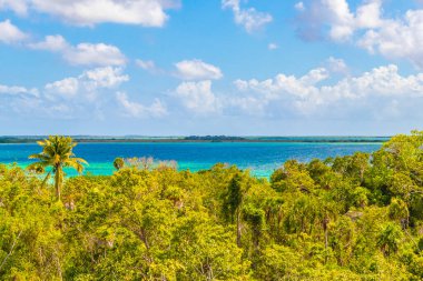 Sian Ka 'an Ulusal Parkı Muyil Chunyaxche Quintana Roo Mexico' nun palmiye ağaçları ile tropikal orman doğa ormanındaki ahşap gözetleme kulesinden Muyil Lagoon 'a manzara.