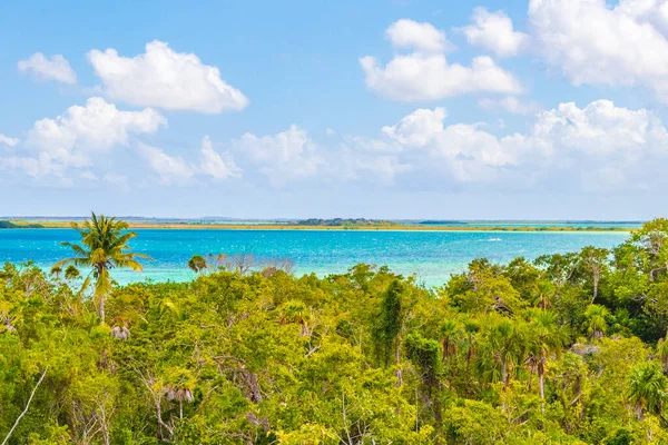 Sian Ka 'an Ulusal Parkı Muyil Chunyaxche Quintana Roo Mexico' nun palmiye ağaçları ile tropikal orman doğa ormanındaki ahşap gözetleme kulesinden Muyil Lagoon 'a manzara.