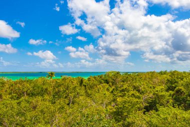Sian Ka 'an Ulusal Parkı Muyil Chunyaxche Quintana Roo Mexico' nun palmiye ağaçları ile tropikal orman doğa ormanındaki ahşap gözetleme kulesinden Muyil Lagoon 'a manzara.