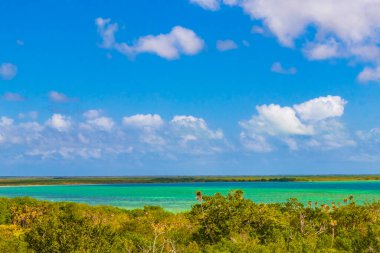 Sian Ka 'an Ulusal Parkı Muyil Chunyaxche Quintana Roo Mexico' nun palmiye ağaçları ile tropikal orman doğa ormanındaki ahşap gözetleme kulesinden Muyil Lagoon 'a manzara.