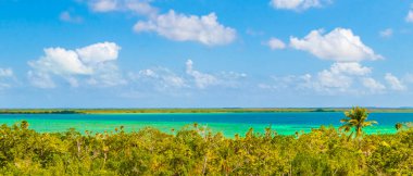 Sian Ka 'an Ulusal Parkı Muyil Chunyaxche Quintana Roo Mexico' nun palmiye ağaçları ile tropikal orman doğa ormanındaki ahşap gözetleme kulesinden Muyil Lagoon 'a manzara.