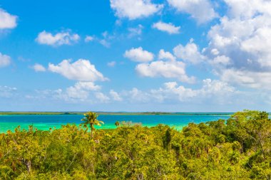 Sian Ka 'an Ulusal Parkı Muyil Chunyaxche Quintana Roo Mexico' nun palmiye ağaçları ile tropikal orman doğa ormanındaki ahşap gözetleme kulesinden Muyil Lagoon 'a manzara.
