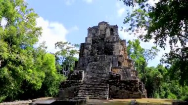 Tapınağı olan antik Maya bölgesi tropik doğal orman palmiyeleri ve Muyil Chunyaxche Quintana Roo Mexico 'daki yürüyüş yolları üzerindeki piramitleri ve eserleri harap eder.