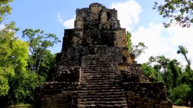 Tapınağı olan antik Maya bölgesi tropik doğal orman palmiyeleri ve Muyil Chunyaxche Quintana Roo Mexico 'daki yürüyüş yolları üzerindeki piramitleri ve eserleri harap eder.