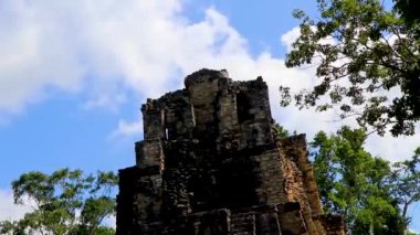 Tapınağı olan antik Maya bölgesi tropik doğal orman palmiyeleri ve Muyil Chunyaxche Quintana Roo Mexico 'daki yürüyüş yolları üzerindeki piramitleri ve eserleri harap eder.