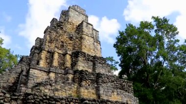 Tapınağı olan antik Maya bölgesi tropik doğal orman palmiyeleri ve Muyil Chunyaxche Quintana Roo Mexico 'daki yürüyüş yolları üzerindeki piramitleri ve eserleri harap eder.