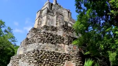 Tapınağı olan antik Maya bölgesi tropik doğal orman palmiyeleri ve Muyil Chunyaxche Quintana Roo Mexico 'daki yürüyüş yolları üzerindeki piramitleri ve eserleri harap eder.