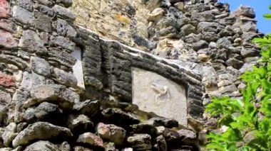 Tapınağı olan antik Maya bölgesi tropik doğal orman palmiyeleri ve Muyil Chunyaxche Quintana Roo Mexico 'daki yürüyüş yolları üzerindeki piramitleri ve eserleri harap eder.