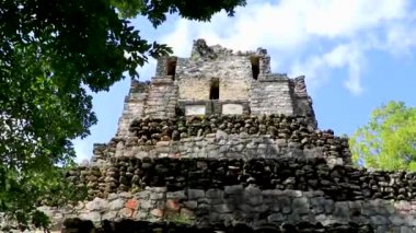 Tapınağı olan antik Maya bölgesi tropik doğal orman palmiyeleri ve Muyil Chunyaxche Quintana Roo Mexico 'daki yürüyüş yolları üzerindeki piramitleri ve eserleri harap eder.