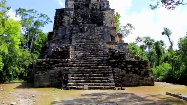 대밀림 야자나무에 신전의 피라미드와 유물들이 유적들 추축체 킨타나로 멕시코의 — 비디오
