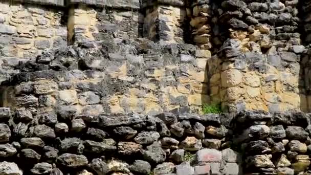 古代マヤ遺跡ピラミッドや熱帯自然ジャングルの森のヤシの木やMuyil Chunyaxcheキンタナ メキシコの遊歩道の遺物 — ストック動画