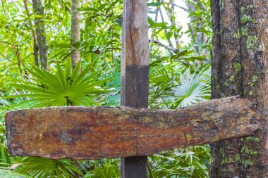 Boş bilgi girişi yürüyüş yolları ve Muyil Chunyaxche Quintana Roo Mexico 'daki Sian Ka' an Ulusal Parkı 'nda hoş geldin panosu..