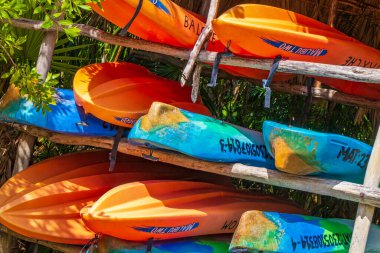 Muyil Meksika 02. Şubat 2022 Muyil lagünündeki kırmızı ve mavi kanolar Sian Ka 'an Ulusal Parkı' ndaki tropikal orman doğa ormanları Muyil Chunyaxche Quintana Roo Meksika.