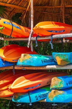 Muyil Meksika 02. Şubat 2022 Muyil lagünündeki kırmızı ve mavi kanolar Sian Ka 'an Ulusal Parkı' ndaki tropikal orman doğa ormanları Muyil Chunyaxche Quintana Roo Meksika.