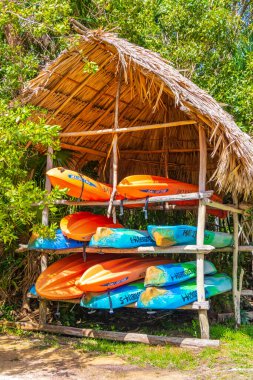 Muyil Meksika 02. Şubat 2022 Muyil lagünündeki kırmızı ve mavi kanolar Sian Ka 'an Ulusal Parkı' ndaki tropikal orman doğa ormanları Muyil Chunyaxche Quintana Roo Meksika.