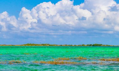 Sian Ka 'an Ulusal Parkı Muyil Chunyaxche Quintana Roo Mexico' daki renkli turkuaz suyla tropikal orman doğa ormanındaki Muyil Gölüne inanılmaz doğal manzara..