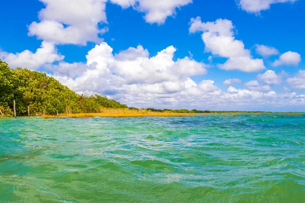 Verbazingwekkend Natuurlijk Panorama Uitzicht Muyil Lagoon Tropische Jungle Natuurbos Met — Stockfoto