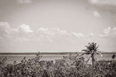 Sian Ka 'an Ulusal Parkı, Muyil Chunyaxche Meksika' daki tropikal orman doğa ormanındaki ahşap kuleden Muyil Lagünü 'ne uzanan panorama manzarasının eski siyah beyaz resmi..