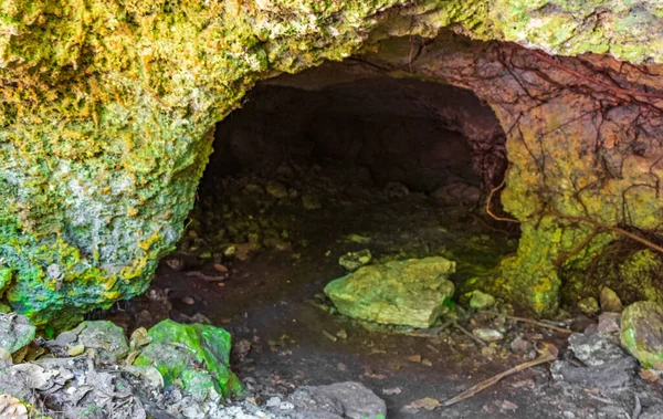 Tropische Natuurlijke Jungle Bos Planten Palmbomen Rotsen Stenen Rotsblokken Grot — Stockfoto