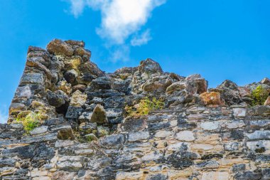 Tapınağı olan antik Maya bölgesi tropik doğal orman palmiyeleri ve Muyil Chunyaxche Quintana Roo Mexico 'daki yürüyüş yolları üzerindeki piramitleri ve eserleri harap eder..