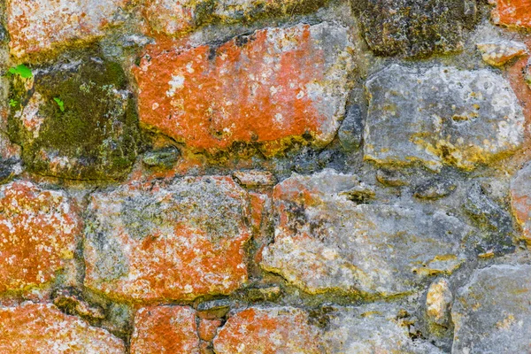 Texture Dell Antico Sito Maya Con Rovine Del Tempio Piramidi — Foto Stock