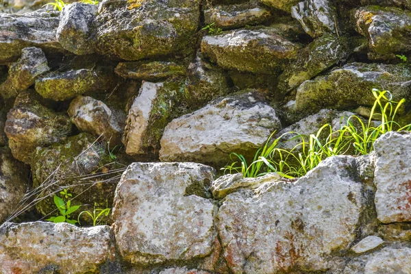 Texture Ancient Mayan Site Temple Ruins Pyramids Artifacts Tropical Natural — Stock Photo, Image