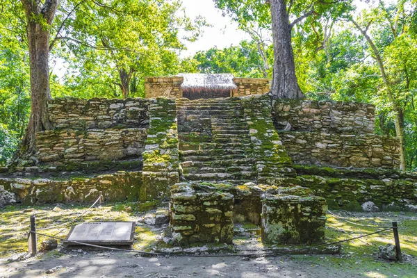 Ancient Mayan Site Temple Ruins Pyramids Artifacts Tropical Natural Jungle — Stock Photo, Image