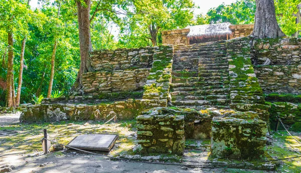 Antiguo Sitio Maya Con Ruinas Templos Pirámides Artefactos Selva Tropical —  Fotos de Stock