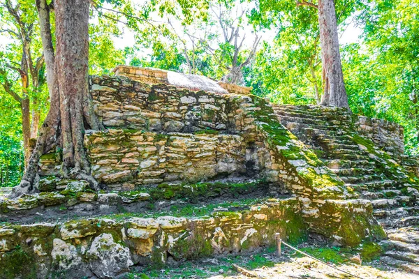 Antiguo Sitio Maya Con Ruinas Templos Pirámides Artefactos Selva Tropical —  Fotos de Stock