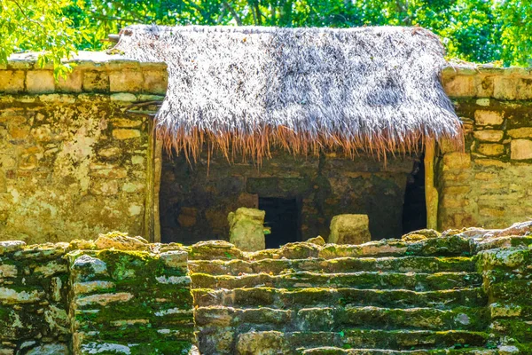 Antiguo Sitio Maya Con Ruinas Templos Pirámides Artefactos Selva Tropical — Foto de Stock