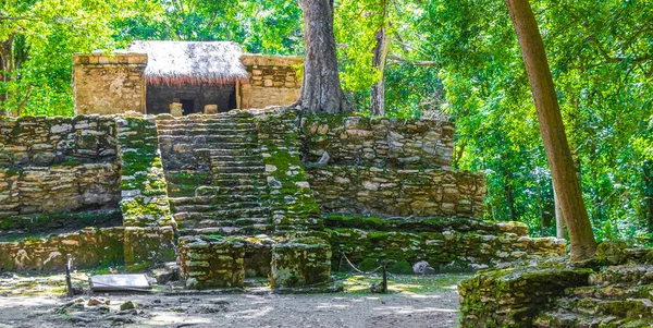 Antiguo Sitio Maya Con Ruinas Templos Pirámides Artefactos Selva Tropical — Foto de Stock
