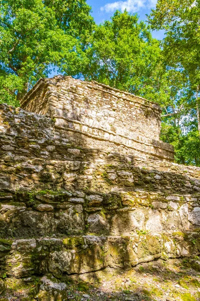 Sítio Antigo Maia Com Ruínas Templos Pirâmides Artefatos Nas Florestas — Fotografia de Stock