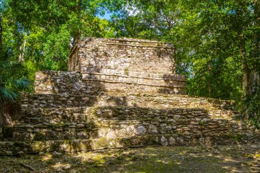 Tapınağı olan antik Maya bölgesi tropik doğal orman palmiyeleri ve Muyil Chunyaxche Quintana Roo Mexico 'daki yürüyüş yolları üzerindeki piramitleri ve eserleri harap eder..