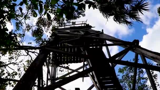 Деревянная Смотровая Башня Тропические Джунгли Муйиль Лагуна Панорама Шан Каан — стоковое видео