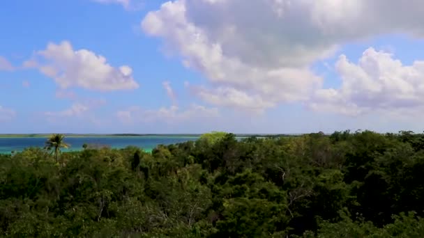 Pemandangan Panorama Laguna Muyil Dari Menara Sudut Pandang Kayu Hutan — Stok Video