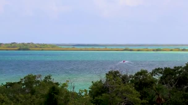 Vista Panorámica Laguna Muyil Desde Torre Del Mirador Madera Selva — Vídeo de stock