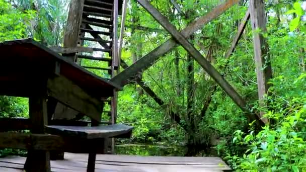 Tour Belvédère Bois Jungle Tropicale Panorama Lagune Muyil Sian Kaan — Video