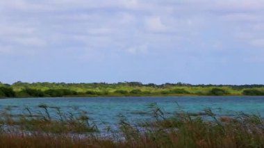Sian Ka 'an Ulusal Parkı Muyil Chunyaxche Quintana Roo Mexico' nun palmiye ağaçları ile tropikal orman doğa ormanındaki ahşap gözetleme kulesinden Muyil Lagoon 'a manzara.