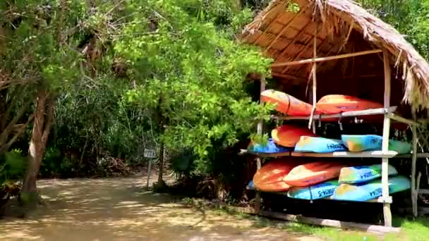 Muyil Mexico Februarie 2022 Canoe Roșii Albastre Portocalii Muyil Lagoon — Videoclip de stoc