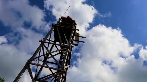 Torre Mirador Madera Con Vista Panorámica Laguna Muyil Selva Tropical — Vídeos de Stock