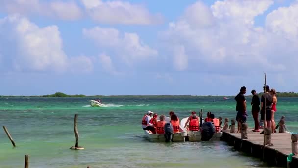 Muyil México Febrero 2022 Vista Panorámica Laguna Muyil Bosque Tropical — Vídeo de stock