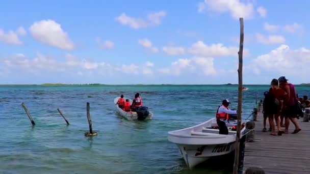 Muyil México Febrero 2022 Vista Panorámica Laguna Muyil Bosque Tropical — Vídeo de stock